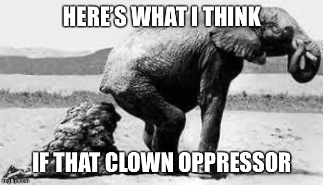 Elephant Poopy | HERE’S WHAT I THINK IF THAT CLOWN OPPRESSOR | image tagged in elephant poopy | made w/ Imgflip meme maker