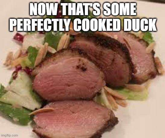 Yum, Quack | NOW THAT'S SOME PERFECTLY COOKED DUCK | image tagged in duck | made w/ Imgflip meme maker