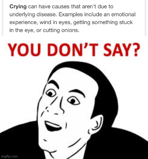 Searched something up about crying and found this | image tagged in you don t say | made w/ Imgflip meme maker