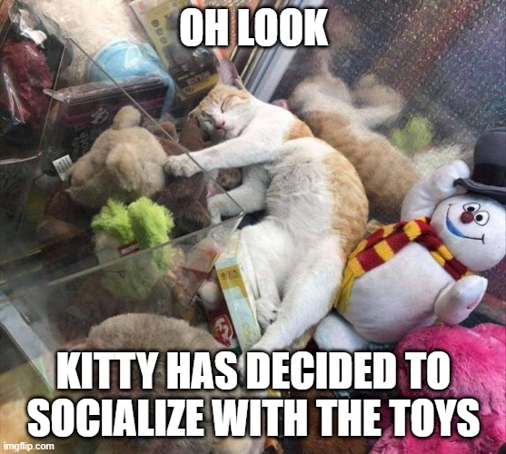 lol | OH LOOK; KITTY HAS DECIDED TO SOCIALIZE WITH THE TOYS | image tagged in memes,funny,cats,animals,toys,sleeping | made w/ Imgflip meme maker