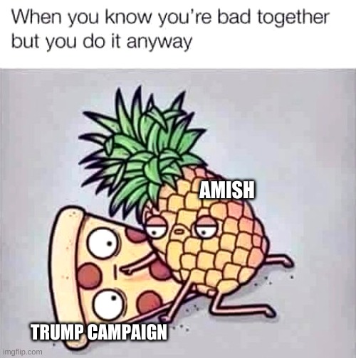 The Amish and the Trump Campaign | AMISH; TRUMP CAMPAIGN | image tagged in amish,trump,bad together,do it anyway | made w/ Imgflip meme maker
