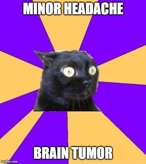 anxiety cat | MINOR HEADACHE; BRAIN TUMOR | image tagged in anxiety cat | made w/ Imgflip meme maker