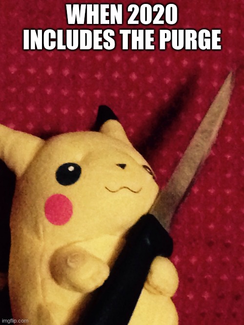 I swear if there is a purge, I will literally bomb the school! ESPECIALLY MY HISTORY AND PE CLASSES! | WHEN 2020 INCLUDES THE PURGE | image tagged in pikachu learned stab | made w/ Imgflip meme maker