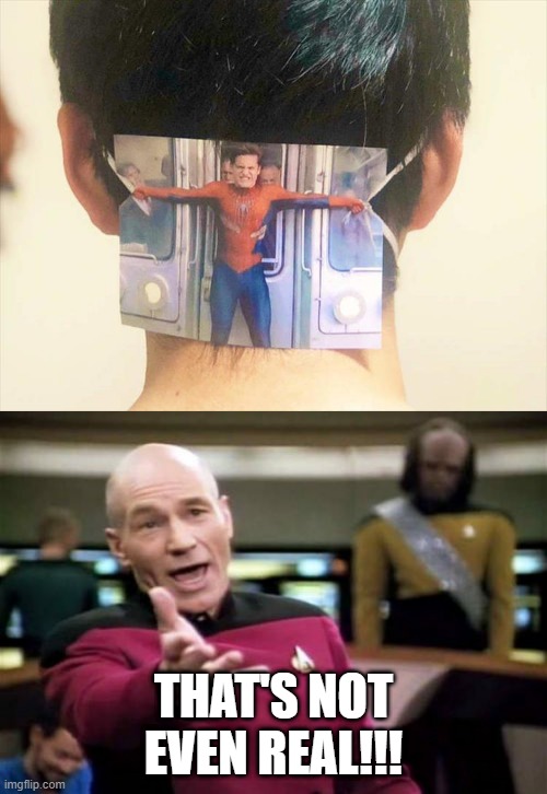 LOL | THAT'S NOT EVEN REAL!!! | image tagged in memes,picard wtf,funny,spiderman,brilliant | made w/ Imgflip meme maker
