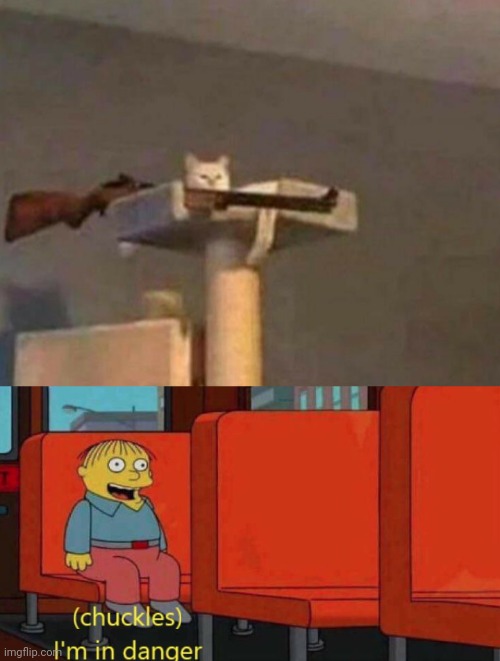 I'm in danger of a cat with a shotgun | image tagged in chuckles i'm in danger simpsons meme,memes,cats,chuckles im in danger | made w/ Imgflip meme maker
