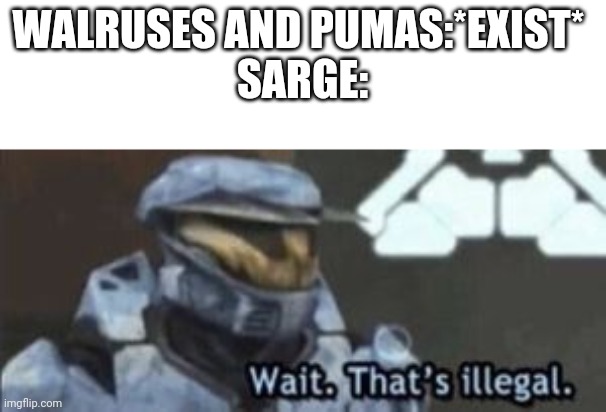 wait. that's illegal | WALRUSES AND PUMAS:*EXIST* 
SARGE: | image tagged in wait that's illegal | made w/ Imgflip meme maker