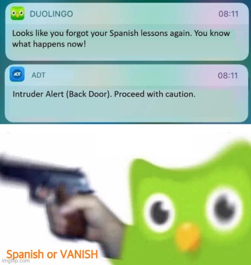 Duolingo be like: |  Spanish or VANISH | image tagged in funny,memes,funny memes,duolingo,robbery,dank memes | made w/ Imgflip meme maker