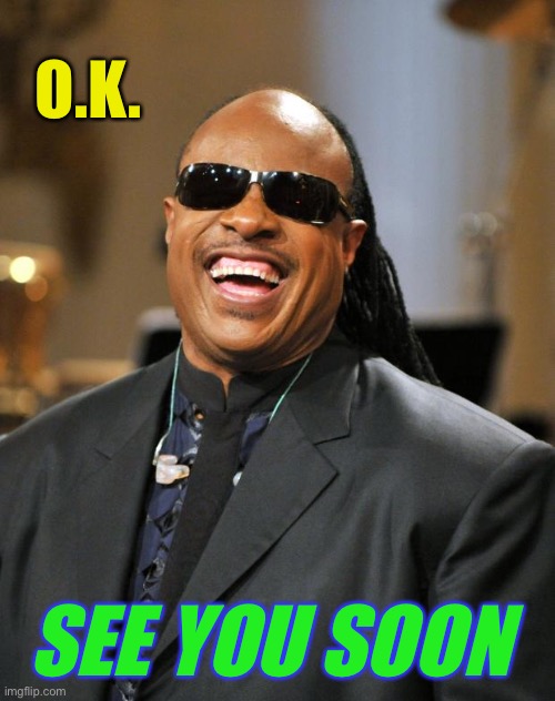 Stevie Wonder | O.K. SEE YOU SOON | image tagged in stevie wonder | made w/ Imgflip meme maker