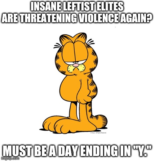 My condolences to the Ginsburgs. Now #FillThatSeat. | INSANE LEFTIST ELITES ARE THREATENING VIOLENCE AGAIN? MUST BE A DAY ENDING IN "Y." | image tagged in grumpy garfield | made w/ Imgflip meme maker