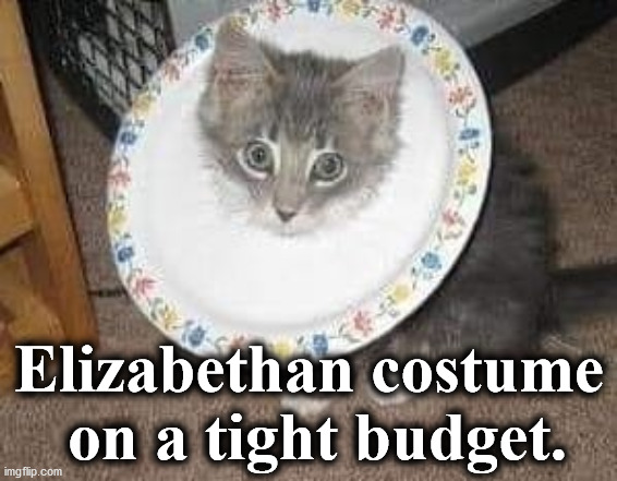 cat | Elizabethan costume
 on a tight budget. | image tagged in cat | made w/ Imgflip meme maker