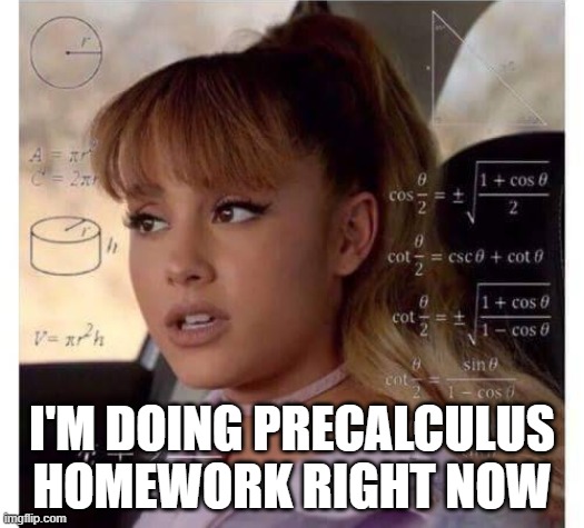 I Took A Break From My Precalculus Homework To Post This | I'M DOING PRECALCULUS HOMEWORK RIGHT NOW | image tagged in ariana grande does math | made w/ Imgflip meme maker