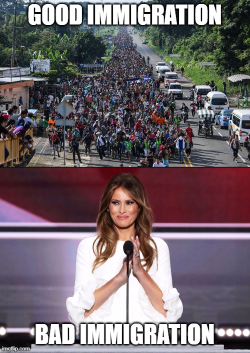 GOOD IMMIGRATION BAD IMMIGRATION | image tagged in melania trump meme | made w/ Imgflip meme maker