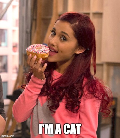 Cat is a cat | I'M A CAT | image tagged in ariana grande donut | made w/ Imgflip meme maker