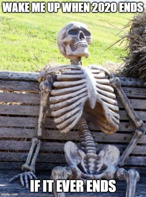 Waiting on 2020 to end | WAKE ME UP WHEN 2020 ENDS; IF IT EVER ENDS | image tagged in memes,waiting skeleton,2020 sucks | made w/ Imgflip meme maker