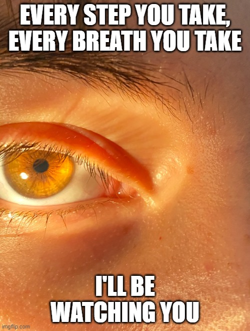 ill be watching you | EVERY STEP YOU TAKE, EVERY BREATH YOU TAKE; I'LL BE WATCHING YOU | image tagged in memes,funny,period | made w/ Imgflip meme maker
