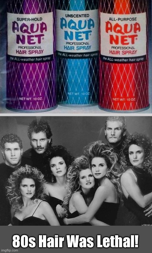 80s Hair | 80s Hair Was Lethal! | image tagged in funny memes,80s,big hair | made w/ Imgflip meme maker