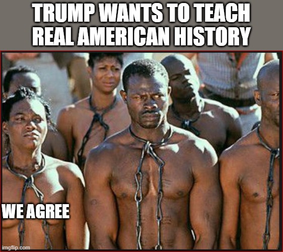 He want to turn America in one big 're-education camp | TRUMP WANTS TO TEACH REAL AMERICAN HISTORY; WE AGREE | image tagged in slavery is heritage,donald trump is an idiot,memes,slavery,racism,kkk | made w/ Imgflip meme maker