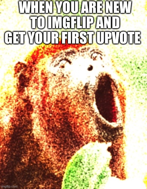 Surprised Monkey | WHEN YOU ARE NEW TO IMGFLIP AND GET YOUR FIRST UPVOTE | image tagged in surprised monkey | made w/ Imgflip meme maker