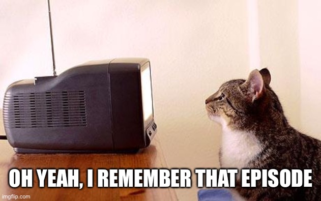 cat watching tv | OH YEAH, I REMEMBER THAT EPISODE | image tagged in cat watching tv | made w/ Imgflip meme maker