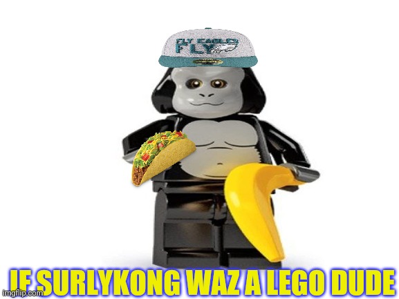 IF SURLYKONG WAZ A LEGO DUDE | made w/ Imgflip meme maker