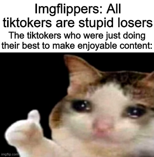 Tiktokers have feelings too! | Imgflippers: All tiktokers are stupid losers; The tiktokers who were just doing their best to make enjoyable content: | image tagged in memes,sad cat thumbs up,tiktok,imgflip,stop reading the tags,pie charts | made w/ Imgflip meme maker