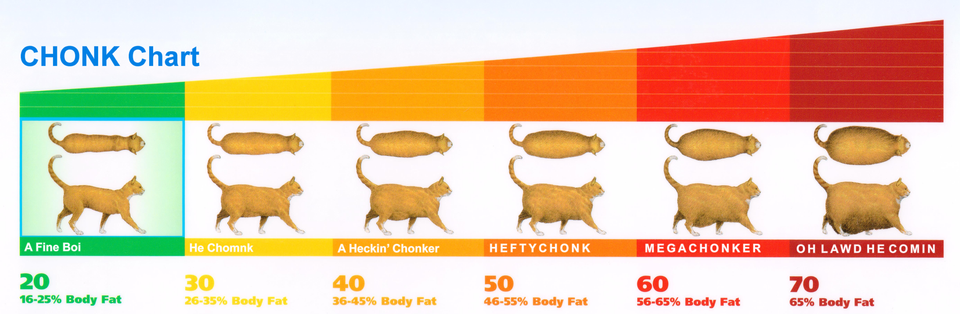 High Quality Chonk Chart Blank Meme Template