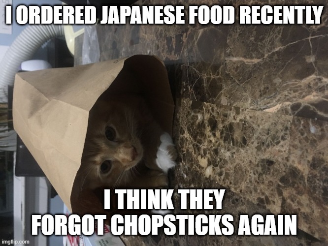 Cat in Chinese food bag | I ORDERED JAPANESE FOOD RECENTLY; I THINK THEY FORGOT CHOPSTICKS AGAIN | image tagged in cat in chinese food bag,asian,food,memes,cats,meme | made w/ Imgflip meme maker
