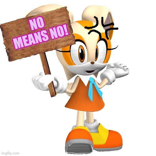NO MEANS NO! | made w/ Imgflip meme maker