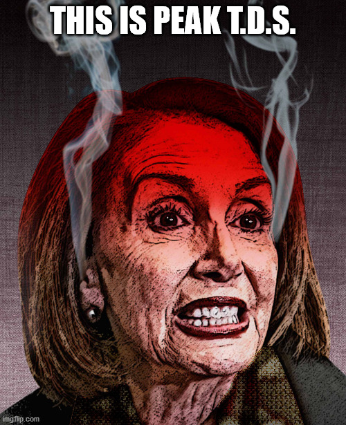 Nancy Pelosi - This is Peak TDS | THIS IS PEAK T.D.S. | image tagged in nancy pelosi,trump derangement syndrome,tds | made w/ Imgflip meme maker