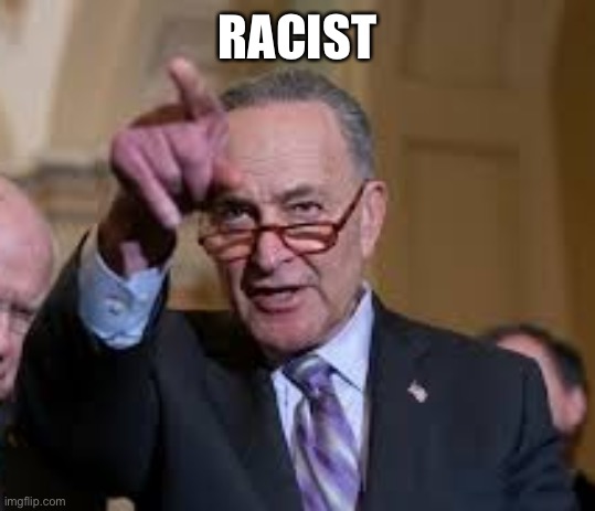 Everything is | RACIST | image tagged in schmuck shumer | made w/ Imgflip meme maker