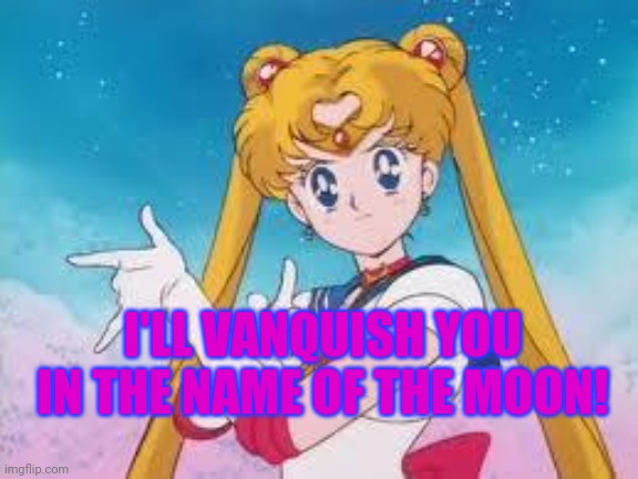 Sailor Moon Punishes | I'LL VANQUISH YOU IN THE NAME OF THE MOON! | image tagged in sailor moon punishes | made w/ Imgflip meme maker