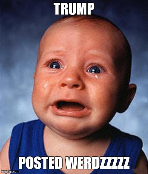 Crying baby  | TRUMP POSTED WERDZZZZZ | image tagged in crying baby | made w/ Imgflip meme maker