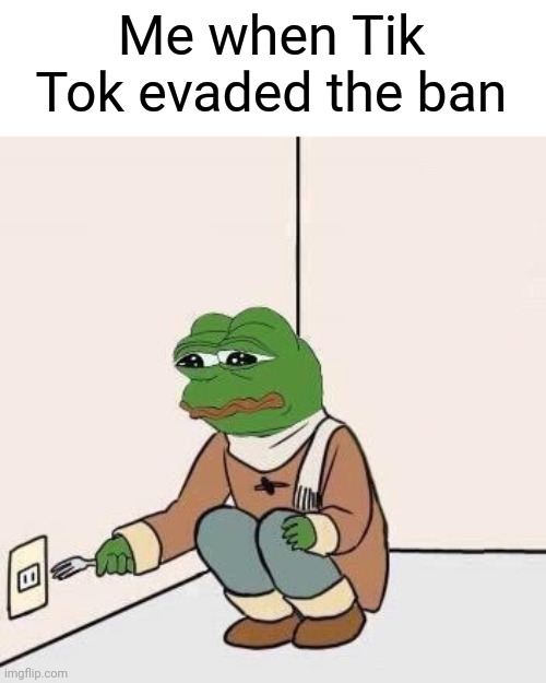 Reality is often disappointing | Me when Tik Tok evaded the ban | image tagged in sad pepe suicide | made w/ Imgflip meme maker