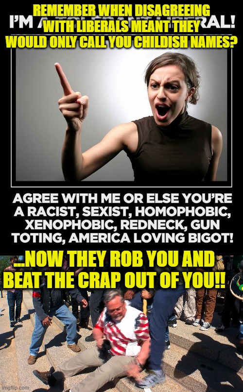 Unhinged!! | REMEMBER WHEN DISAGREEING WITH LIBERALS MEANT THEY WOULD ONLY CALL YOU CHILDISH NAMES? ...NOW THEY ROB YOU AND BEAT THE CRAP OUT OF YOU!! | image tagged in liberal hypocrisy,liberals,democrats,memes,blm,antifa | made w/ Imgflip meme maker