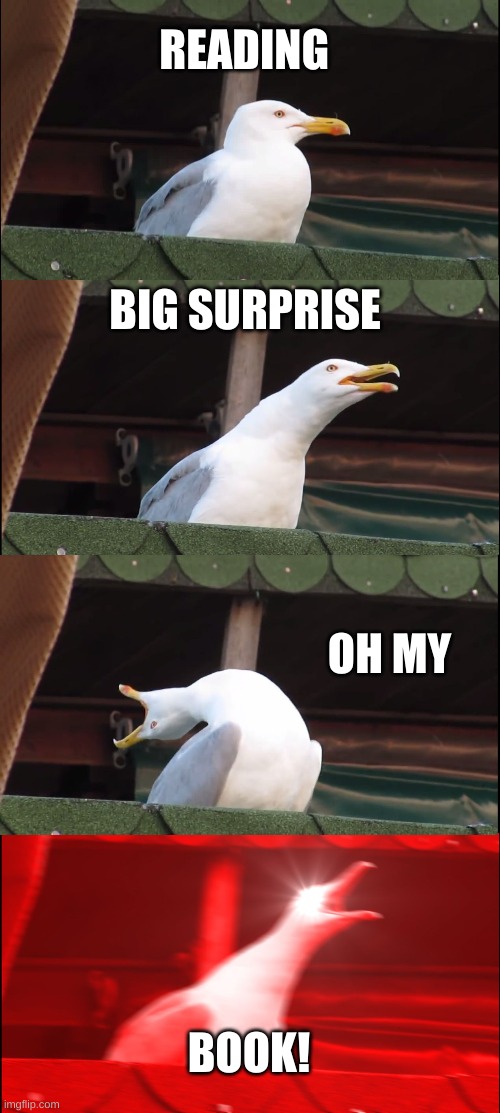 Inhaling Seagull Meme | READING; BIG SURPRISE; OH MY; BOOK! | image tagged in memes,inhaling seagull | made w/ Imgflip meme maker