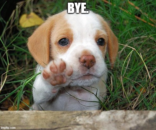 Bye. | BYE. | image tagged in dog puppy bye | made w/ Imgflip meme maker