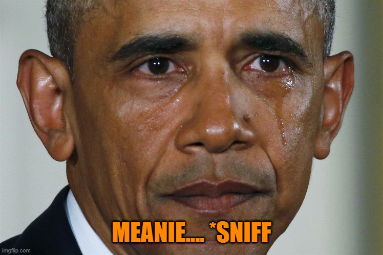 obama crying | MEANIE.... *SNIFF | image tagged in obama crying | made w/ Imgflip meme maker