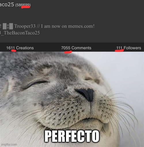 This is actually really cool | PERFECTO | image tagged in memes,satisfied seal | made w/ Imgflip meme maker