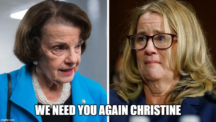 Supreme Court | WE NEED YOU AGAIN CHRISTINE | image tagged in politics,democrats,supreme court,trump,blassy ford | made w/ Imgflip meme maker