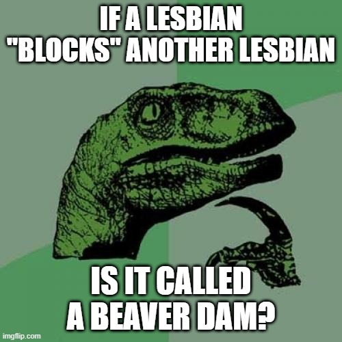 "Cock Blocking" | IF A LESBIAN "BLOCKS" ANOTHER LESBIAN; IS IT CALLED A BEAVER DAM? | image tagged in memes,philosoraptor | made w/ Imgflip meme maker