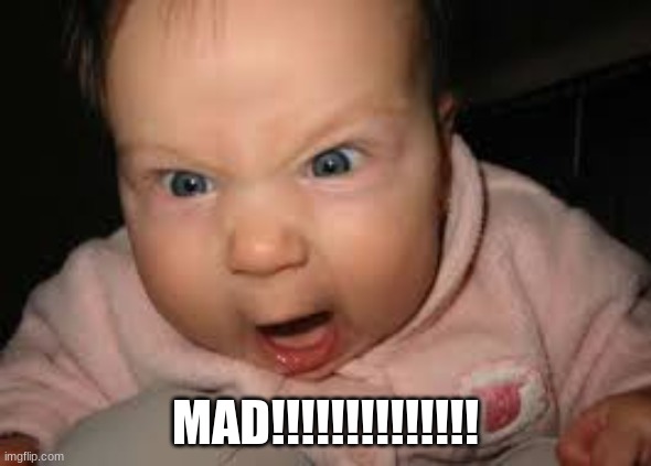 Mad!!!!!!!!! | MAD!!!!!!!!!!!!!! | image tagged in funny | made w/ Imgflip meme maker