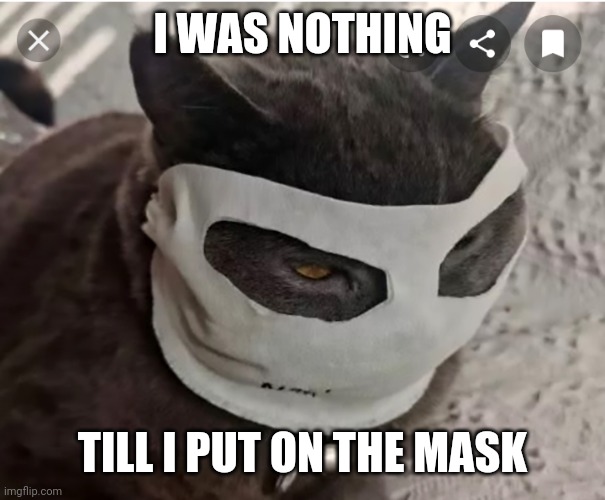 Catman | I WAS NOTHING; TILL I PUT ON THE MASK | image tagged in corona virus | made w/ Imgflip meme maker
