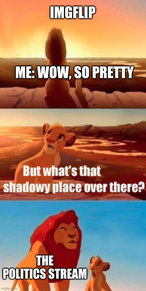 Simba Shadowy Place Meme | IMGFLIP; ME: WOW, SO PRETTY; THE POLITICS STREAM | image tagged in memes,simba shadowy place | made w/ Imgflip meme maker