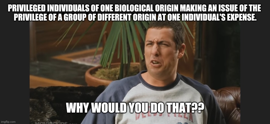 Does singling out Lori Laughlin help? | PRIVILEGED INDIVIDUALS OF ONE BIOLOGICAL ORIGIN MAKING AN ISSUE OF THE 
PRIVILEGE OF A GROUP OF DIFFERENT ORIGIN AT ONE INDIVIDUAL'S EXPENSE. WHY WOULD YOU DO THAT?? | image tagged in why would you do that,jail | made w/ Imgflip meme maker