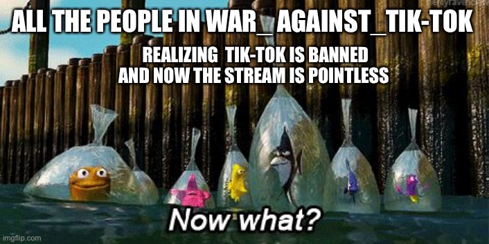 Now What? | ALL THE PEOPLE IN WAR_ AGAINST_TIK-TOK; REALIZING  TIK-TOK IS BANNED AND NOW THE STREAM IS POINTLESS | image tagged in now what | made w/ Imgflip meme maker