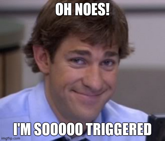 Jim smile | OH NOES! I'M SOOOOO TRIGGERED | image tagged in jim smile | made w/ Imgflip meme maker