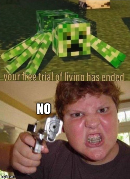 NO | image tagged in minecrafter,your free trial of living has ended | made w/ Imgflip meme maker
