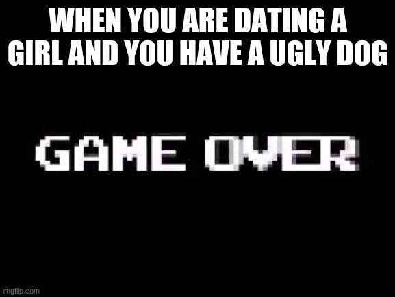 Game over | WHEN YOU ARE DATING A GIRL AND YOU HAVE A UGLY DOG | image tagged in game over | made w/ Imgflip meme maker