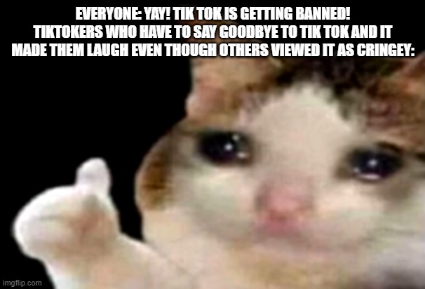 Tiktokers are people too even if they have weird taste in apps | EVERYONE: YAY! TIK TOK IS GETTING BANNED!
TIKTOKERS WHO HAVE TO SAY GOODBYE TO TIK TOK AND IT MADE THEM LAUGH EVEN THOUGH OTHERS VIEWED IT AS CRINGEY: | image tagged in sad cat thumbs up | made w/ Imgflip meme maker