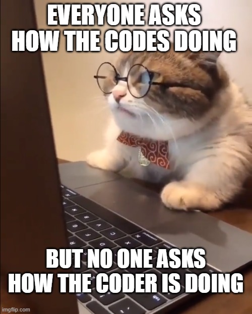 research cat | EVERYONE ASKS HOW THE CODES DOING; BUT NO ONE ASKS HOW THE CODER IS DOING | image tagged in research cat | made w/ Imgflip meme maker